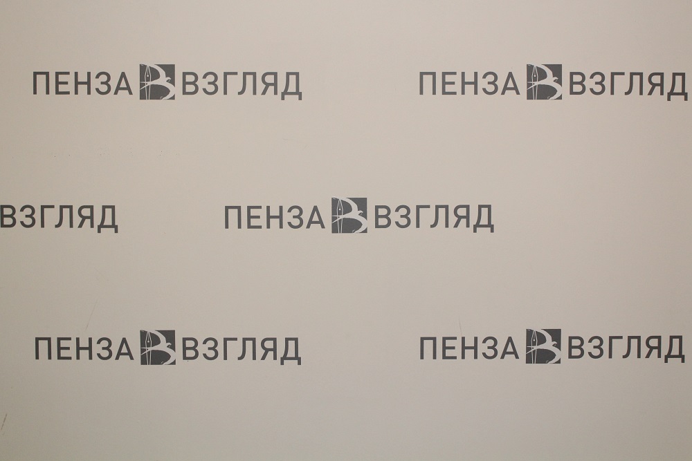 Инспекторы ГИБДД проверят, как пензенцы перевозят детей в авто — Пенза-Взгляд: новости Пензы и области сегодня