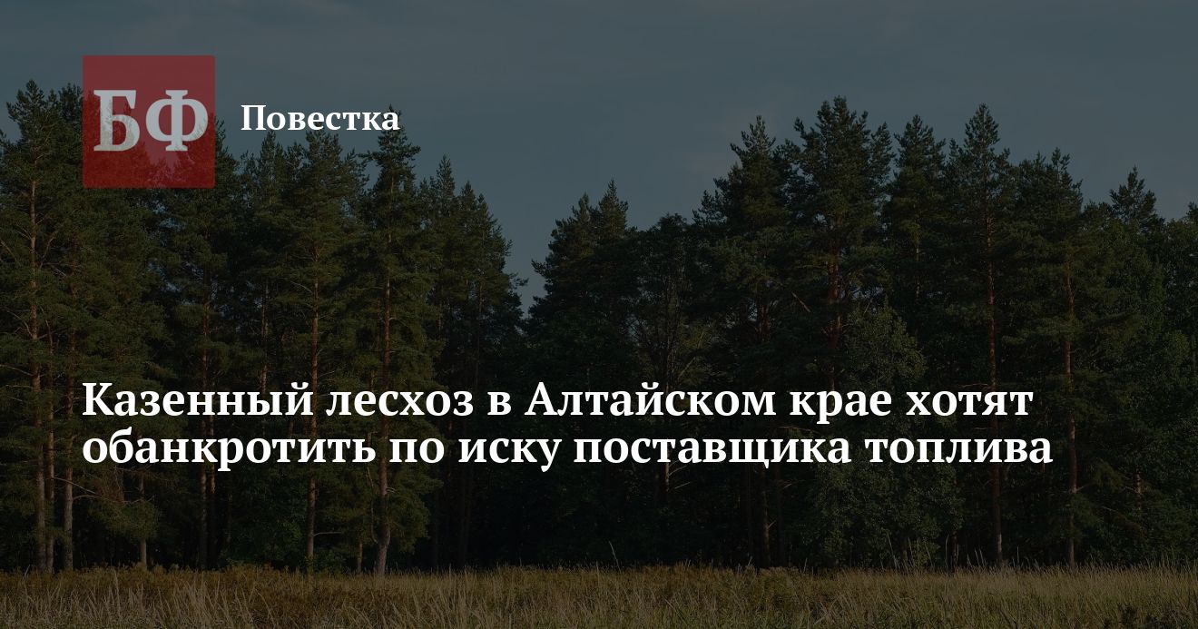 Казенный лесхоз в Алтайском крае хотят обанкротить по иску поставщика топлива