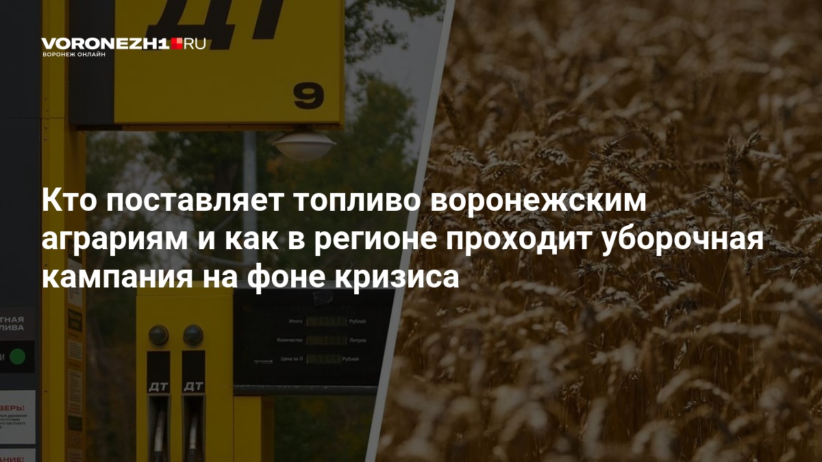 Кто поставляет топливо воронежским аграриям и как в регионе проходит уборочная кампания на фоне кризиса — Voronezh1.ru