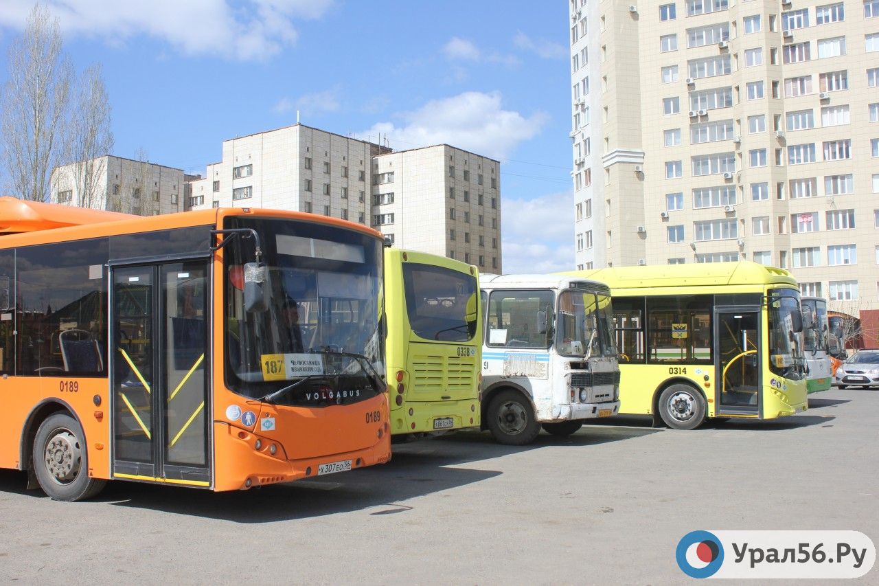 Жители Оренбурга предложили к сентябрю организовать школьный автобус, чтобы сократить очереди на заправках — Урал56.Ру