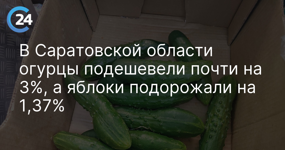 В Саратовской области огурцы подешевели почти на 3%, а яблоки подорожали на 1,37% — Саратов 24