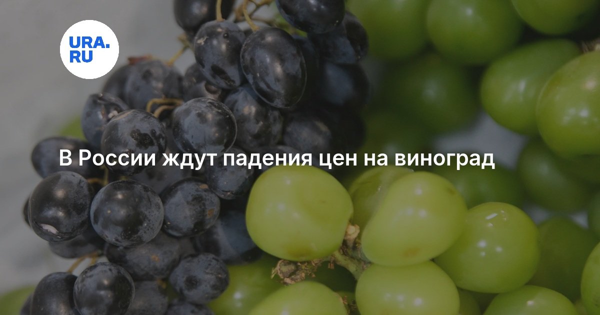 В России ждут падения цен на виноград: почему он подешевеет — URA.RU