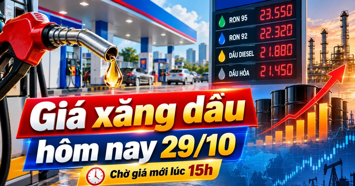 Цены на топливо сегодня, 29 октября 2026 года: мировые цены на нефть резко выросли, новые данные ожидаются в 15:00.
