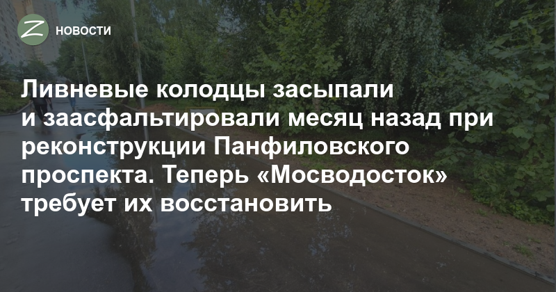 Ливневые колодцы засыпали и заасфальтировали месяц назад при реконструкции Панфиловского проспекта. Теперь «Мосводосток» требует их восстановить — Zelenograd.ru
