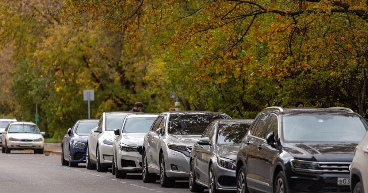 Перемены последних лет: в Московском регионе эти авто заняли более половины рынка — REGIONS.ru