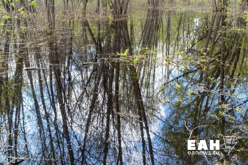 Двое подростков провалились в болото в Челябинской области — Европейско-Азиатские Новости