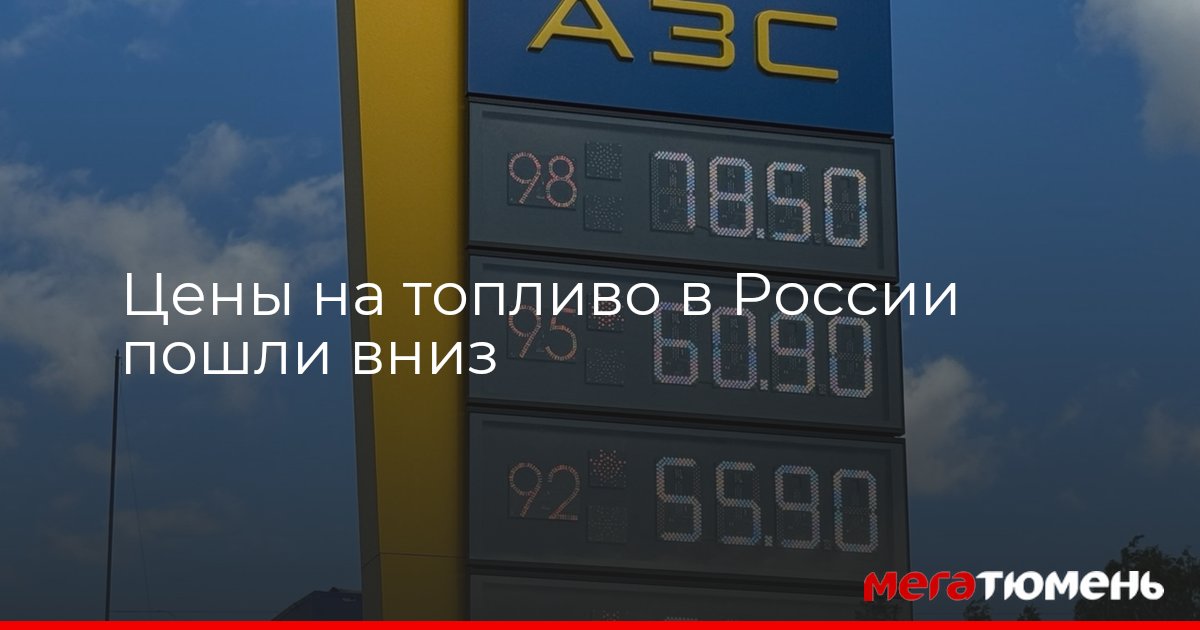 В России подешевел бензин и дизельное топливо — МегаТюмень