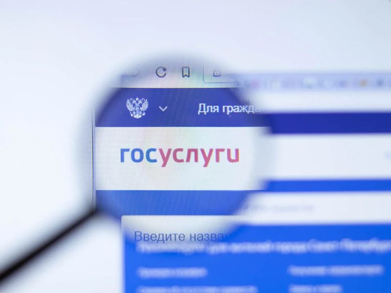 Водители массово получили старые штрафы за 2021 год из-за сбоя на Госуслугах — TKS.RU