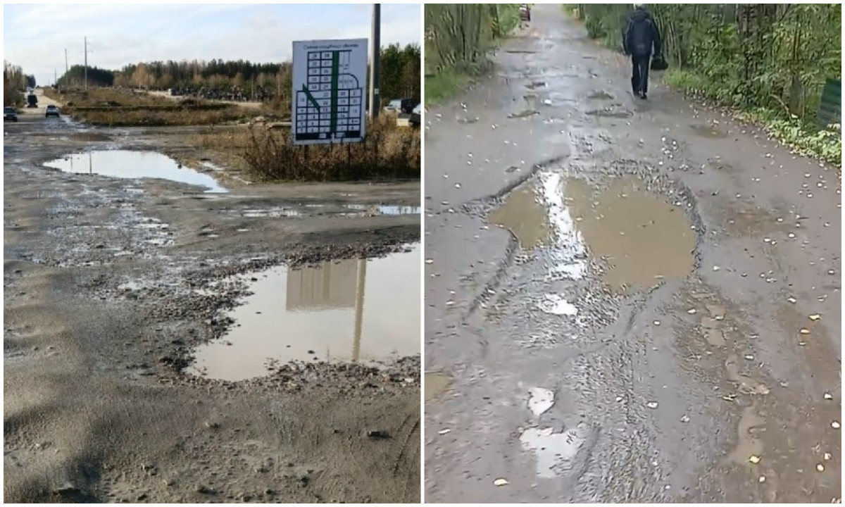 Жители Петрозаводска в ужасе от городских кладбищ (ВИДЕО,ФОТО) — Daily Карелия