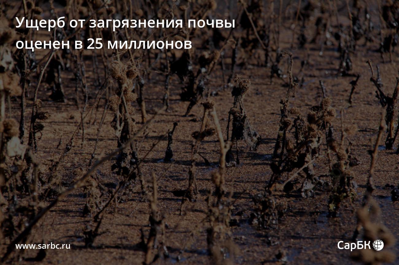 Ущерб от загрязнения почвы оценен в 25 миллионов — СаратовБизнесКонсалтинг