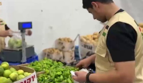 Власти Чечни рапортовали о раздаче продуктов в Секторе Газа — Кавказский Узел