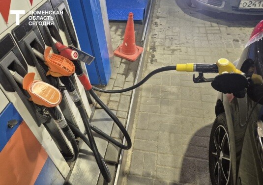 Бензиновый кризис изменил привычки автомобилистов: от канистр до газа — Тюменская область сегодня