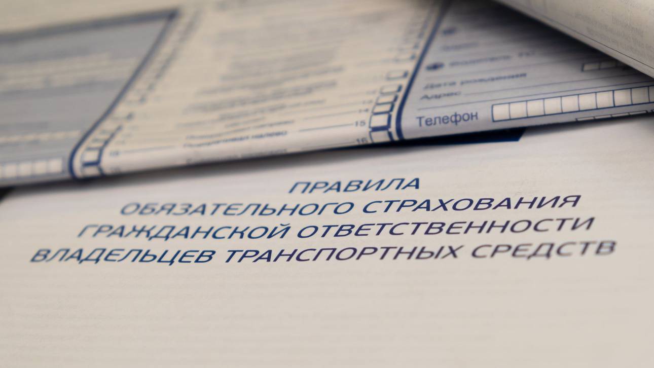 Стоимость страховки зависит от человека: можно ли законно уменьшить цену полиса — SpeedMe.ru