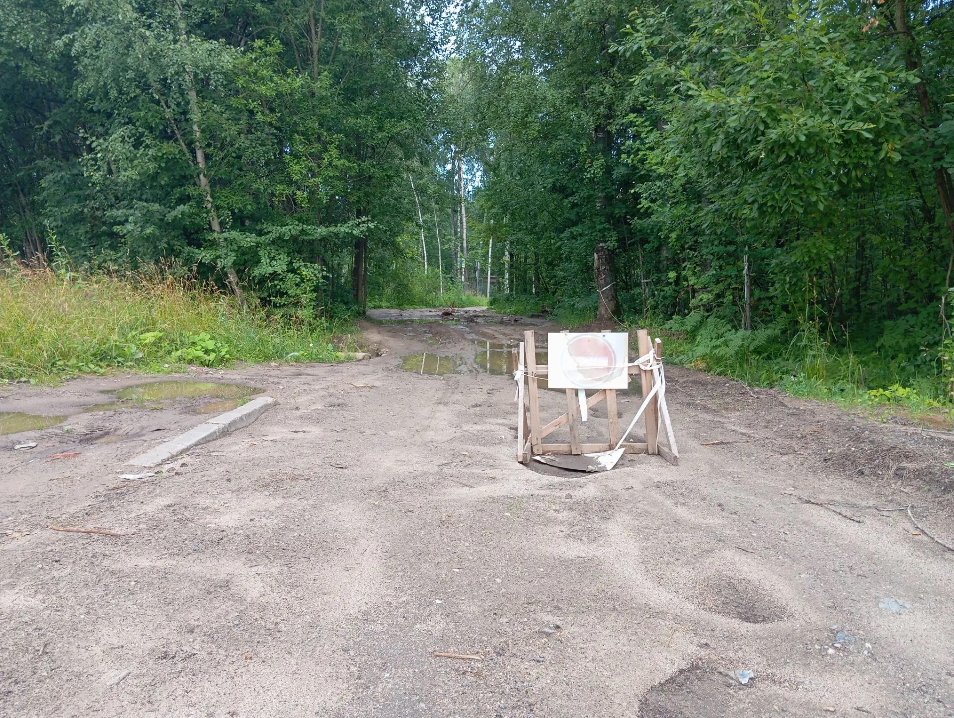 Жители поселка Новый в Костроме обсудили будущее дороги по улице Ивана Нечаева — Logos44