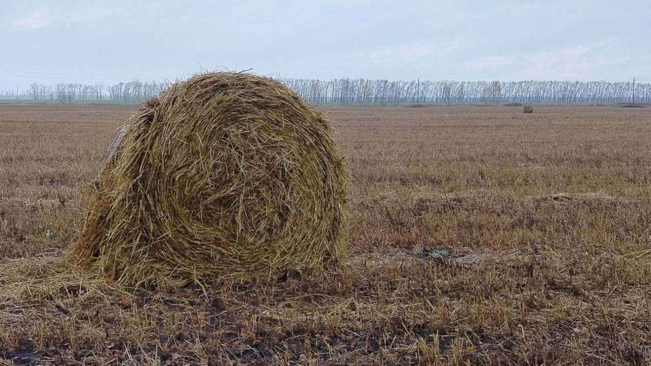 В Средней Елюзани пожар уничтожил хозпостройку и 80 тюков сена — Пенза-Взгляд