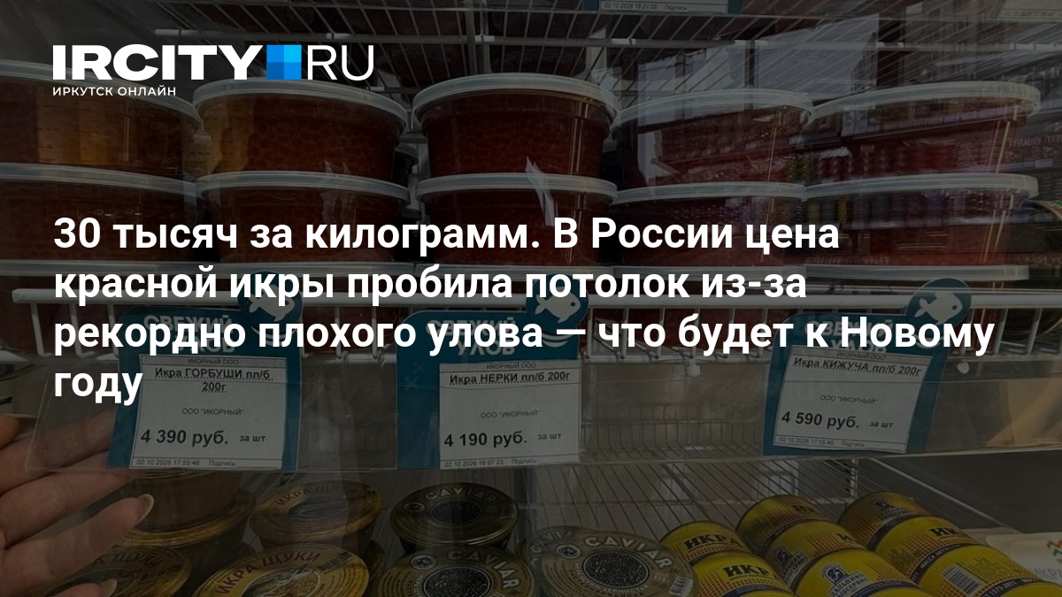 30 тысяч за килограмм. В России цена красной икры пробила потолок из-за рекордно плохого улова — что будет к Новому году — ИРСИТИ.ру