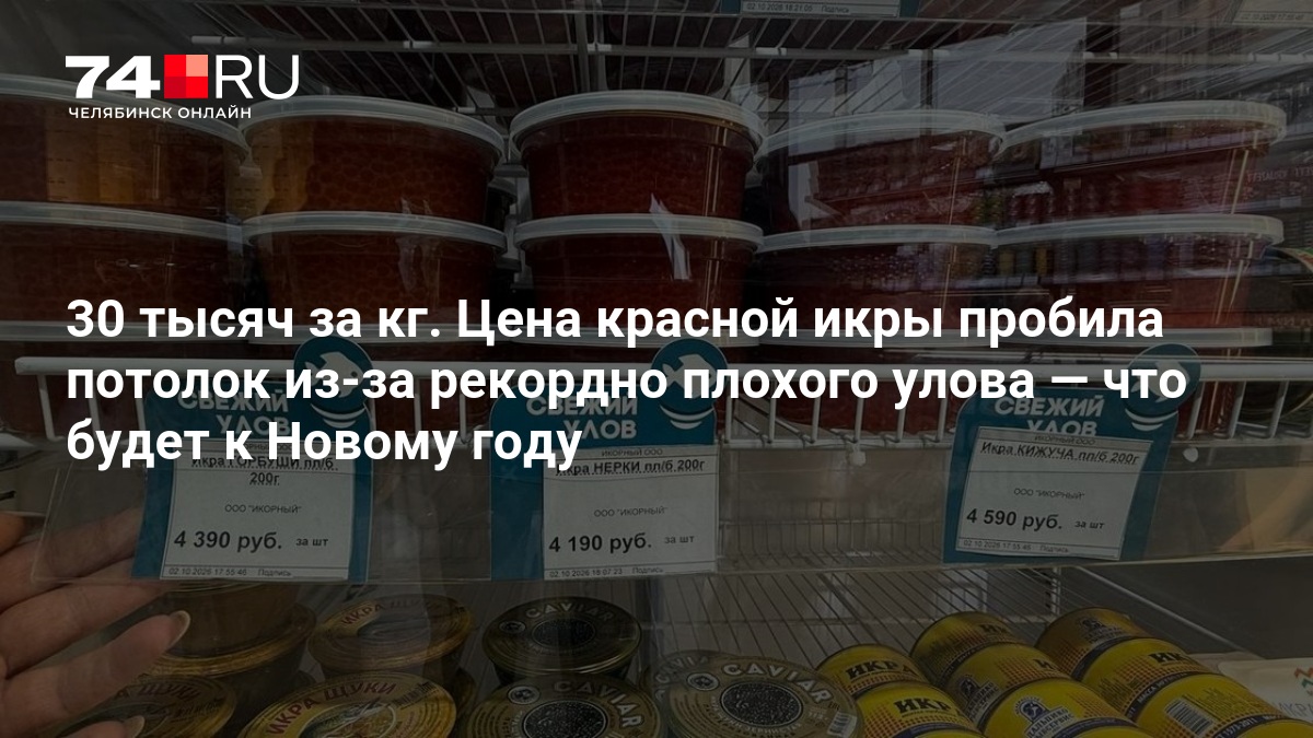В России выросли цены на красную икру из-за наплыва акул и плохого улова — 74.ру