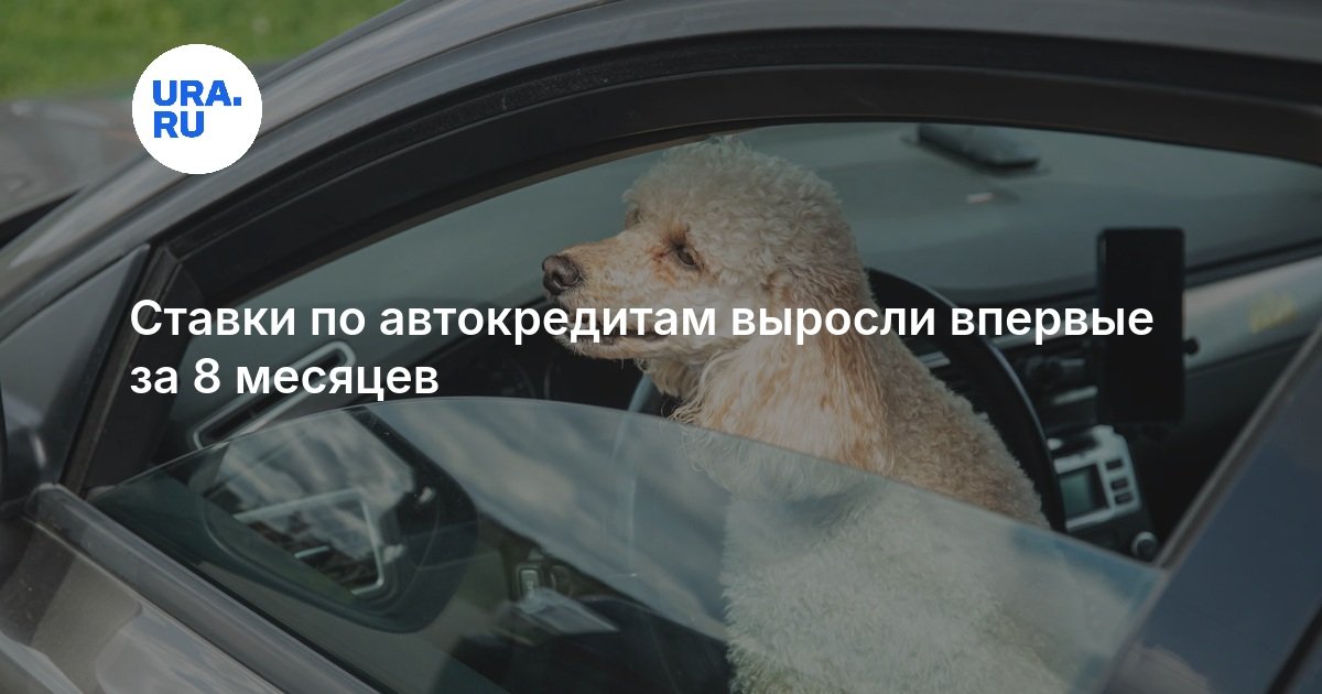 Ставки по автокредитам выросли впервые за 8 месяцев — URA.RU