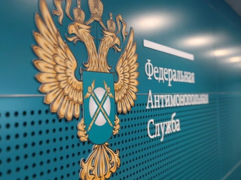 Цены на бензин стали поводом для 41 дела ФАС против участников рынка — TKS.RU