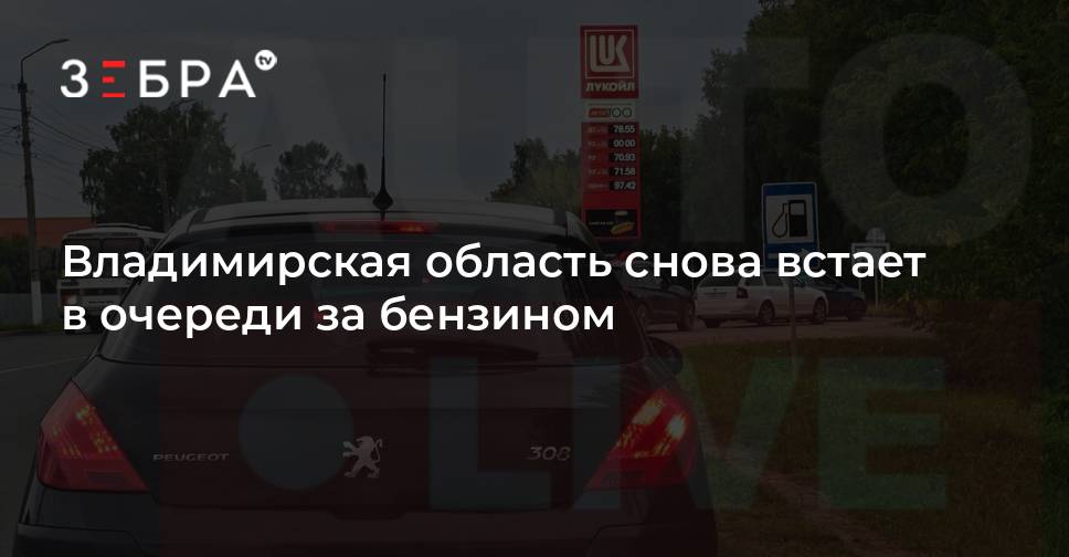 Владимирская область снова встает в очереди за бензином — Зебра ТВ