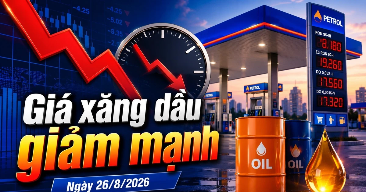 Цены на топливо сегодня, 26 августа: мировые цены на нефть резко падают в преддверии корректировки. — Vietnam.vn