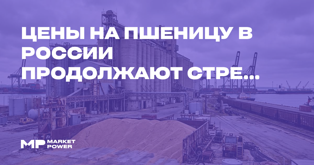 Цены на пшеницу в России продолжают стремительно падать из-за проблем с экспортом и логистикой — Marketpower.pro