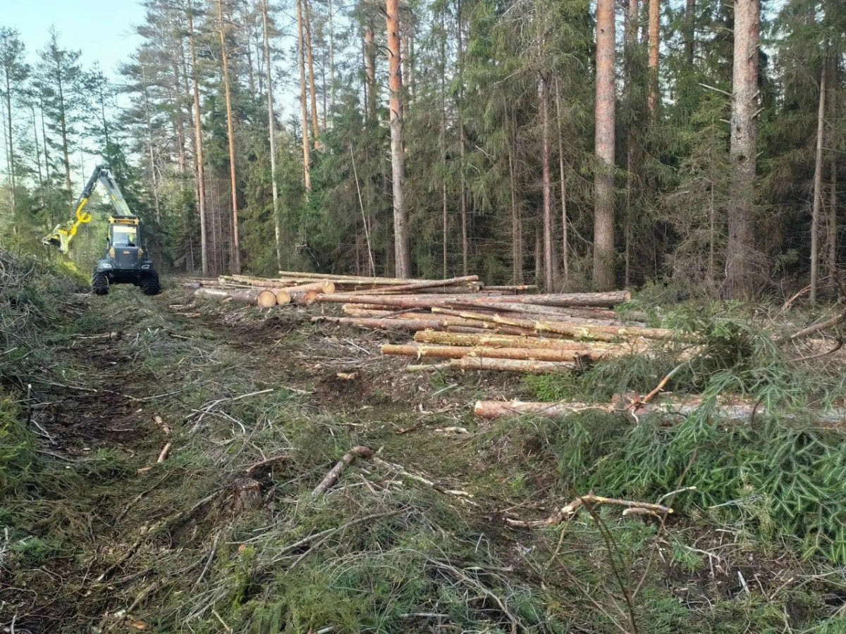 В Кирово-Чепецком районе началась подготовка к ремонту дороги на Бумкомбинат — Newsler.ru