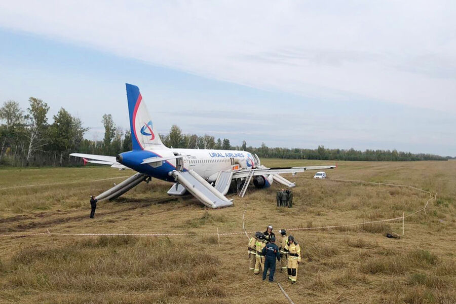 Не каждый выдержит такое». Дело пилота Белова, посадившего A320 в поле, вернули прокурору — gazeta.press