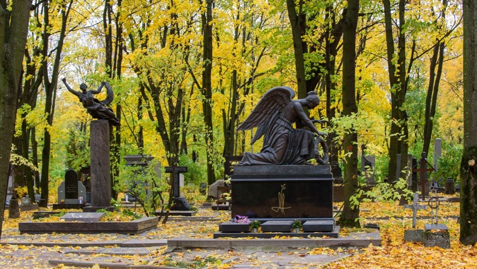 Тихое место: как на окружающую среду в Петербурге влияют городские кладбища — dp.ru