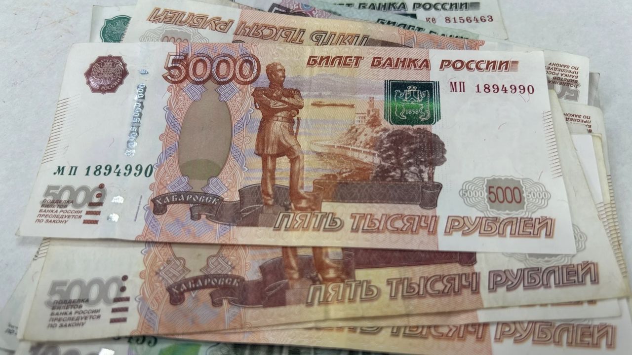 Пензенцам рассказали, как узнать о положенных пособиях и льготах — Пенза-Взгляд