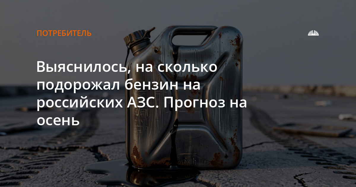 Выяснилось, на сколько подорожал бензин на российских АЗС. Прогноз на осень — Алтапресс — новости Барнаула и Алтайского края