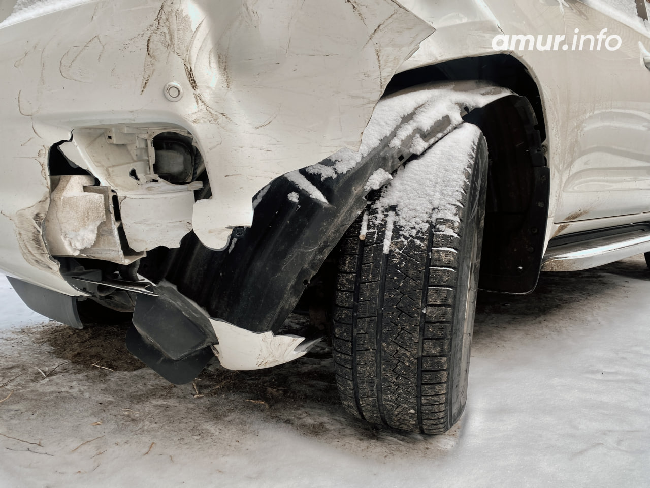 Лошадь выбежала под колёса авто на дороге в Приамурье — amur.info