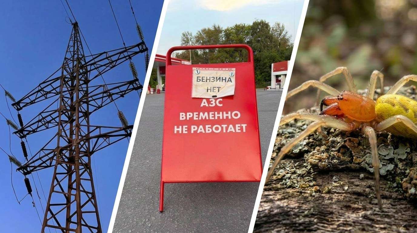 Главные новости Пензы за 13 августа: электрический коллапс, бензин по 115 рублей, опасные пауки — PNZ.RU