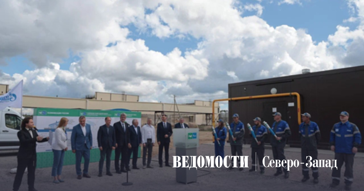 В Ленинградской области газифицирована новая производственная площадка птицефабрики — Ведомости