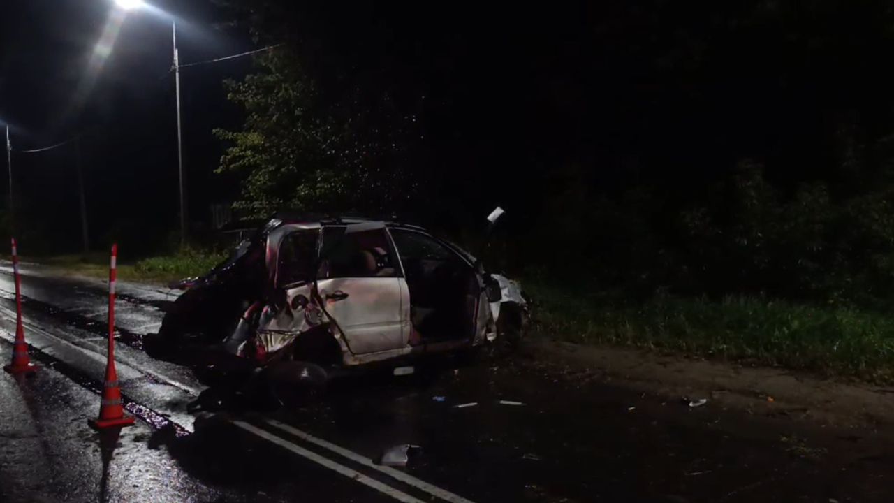 Авария с 3 погибшими, день флага, драка в очереди за бензином — главные новости Пензенской области за 22 августа — Пенза-Взгляд: новости Пензы и области сегодня