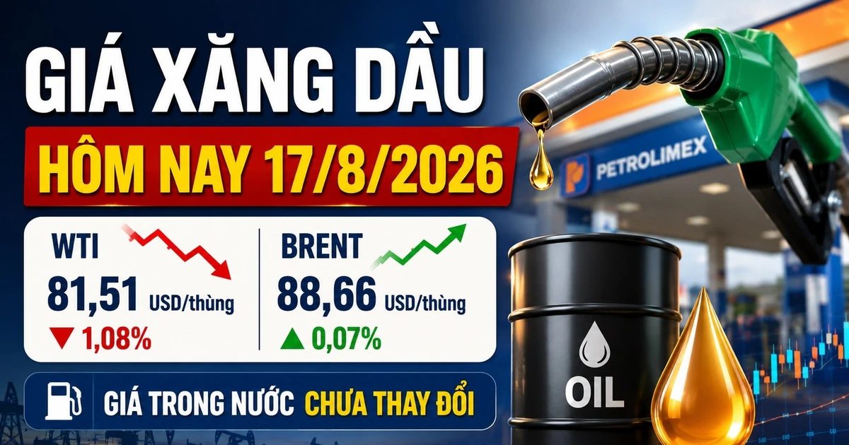 Цены на бензин и нефть сегодня, 17 августа: WTI падает, Brent остается выше 88 долларов. — Vietnam.vn