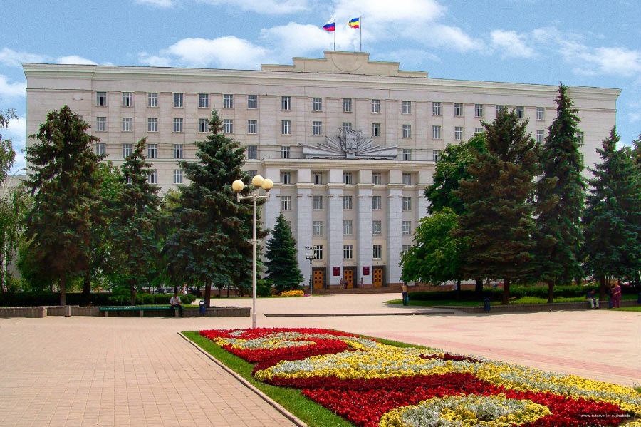 В Ростовской области планируют ввести штрафы за продажу бензина подросткам — Дельта Целина