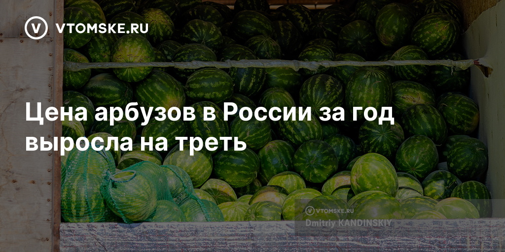 Цена арбузов в России за год выросла на треть — vtomske.ru