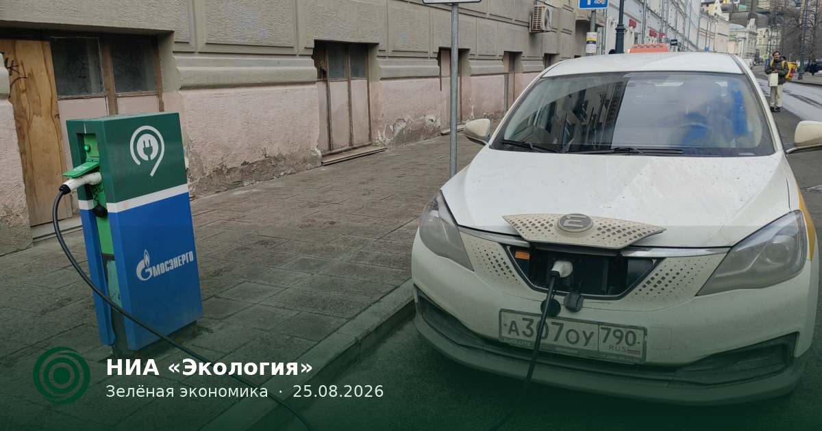 Импорт электромобилей в Россию в июле вырос более чем вдвое — НИА «Экология