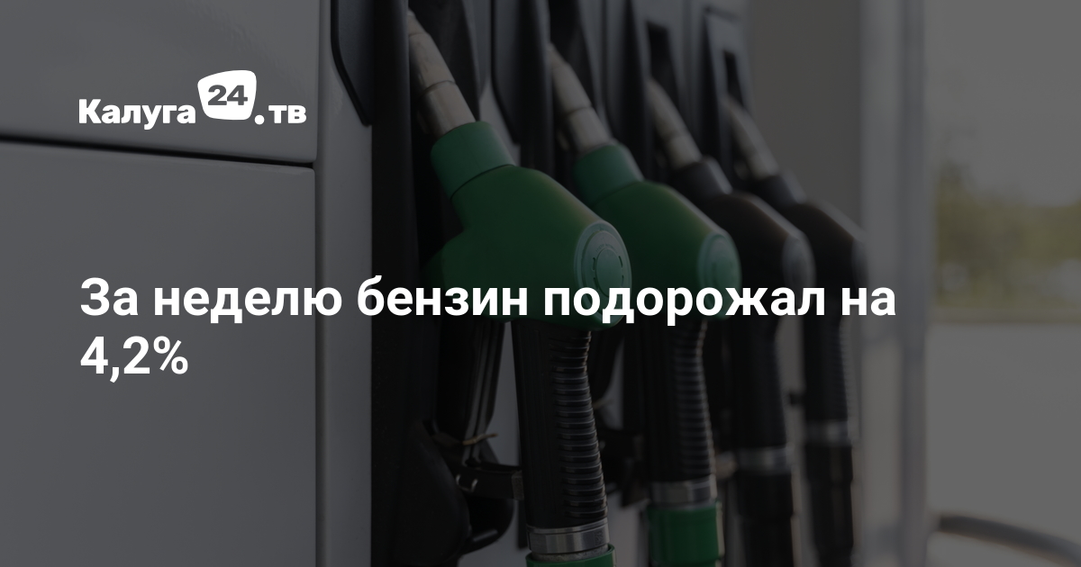За неделю бензин подорожал на 4,2% — Калуга 24