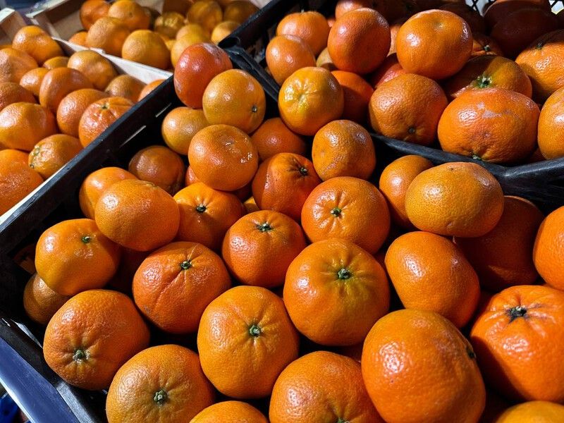 Импорт китайских мандаринов в Россию резко вырос перед зимним сезоном — TKS.RU