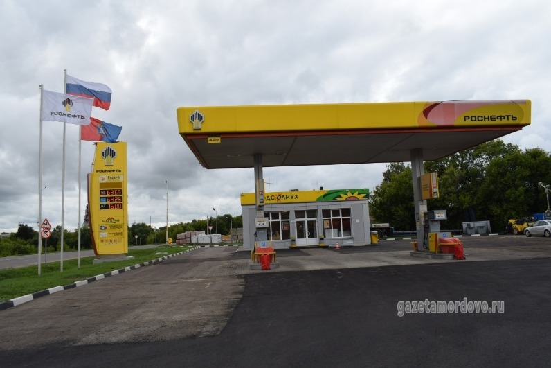 Проголосовать за новый график продажи бензина могут мордовцы — gazetamordovo.ru